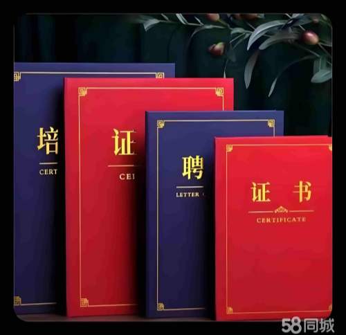 车辆定位器哪个牌子好?实测对比后,我的答案可能让你意外